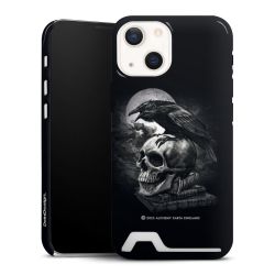 Poe's Raven