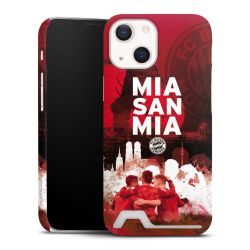 Premium Card Case matt