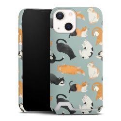 Premium Card Case matt