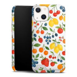 Premium Card Case matt