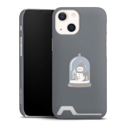 Premium Card Case matt