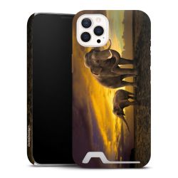 Premium Card Case matt