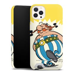 Premium Card Case matt