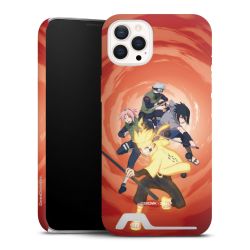 Premium Card Case matt