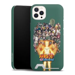 Premium Card Case matt