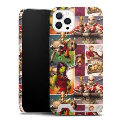 Premium Card Case matt