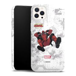 Premium Card Case matt