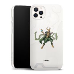 Premium Card Case matt