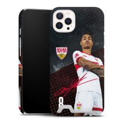 Premium Card Case matt