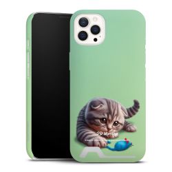 Premium Card Case matt