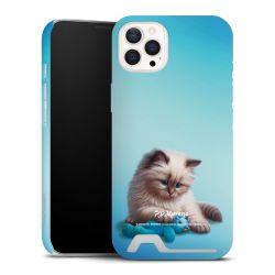 Premium Card Case matt