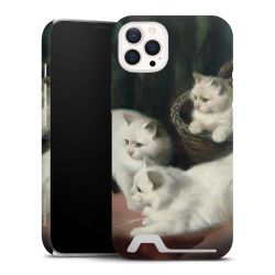 Premium Card Case matt