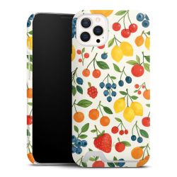 Premium Card Case matt