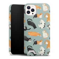 Premium Card Case matt