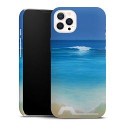 Premium Card Case matt