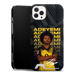 Premium Card Case matt