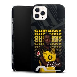 Premium Card Case matt