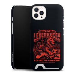 Premium Card Case matt