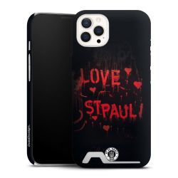 Premium Card Case matt