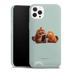 Premium Card Case matt