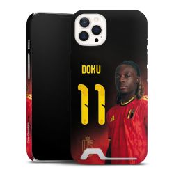 Premium Card Case matt