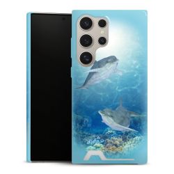 Premium Card Case glossy