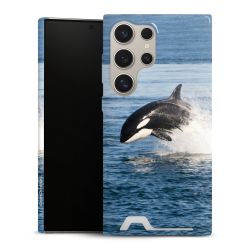 Premium Card Case glossy