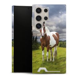 Premium Card Case glossy