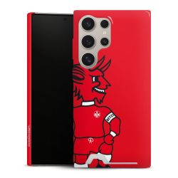 Premium Card Case glossy