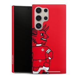 Premium Card Case matt