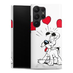 Premium Card Case matt