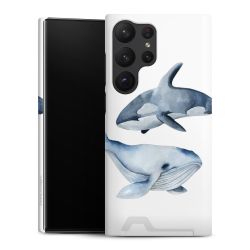 Premium Card Case matt