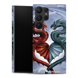 Premium Card Case matt