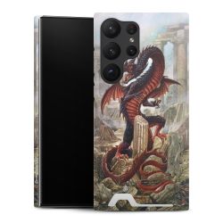 Premium Card Case matt