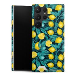 Premium Card Case matt