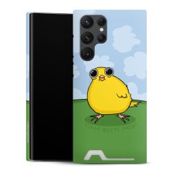 Premium Card Case matt