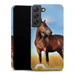 Premium Card Case glossy