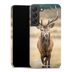 Premium Card Case glossy