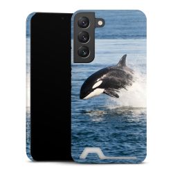 Premium Card Case glossy