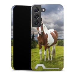 Premium Card Case glossy