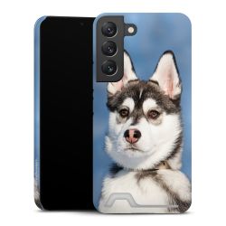 Premium Card Case glossy