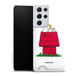 Snoopy and Woodstock Klassisch