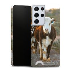 Premium Card Case matt