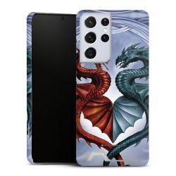 Premium Card Case matt