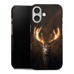 Premium Case matt