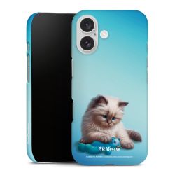Premium Case matt