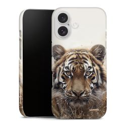 Premium Case matt