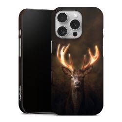 Premium Case matt