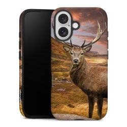 Suojakuori Plus kiiltävä