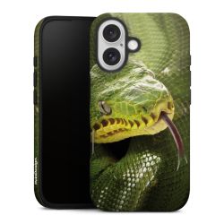 Suojakuori Plus kiiltävä